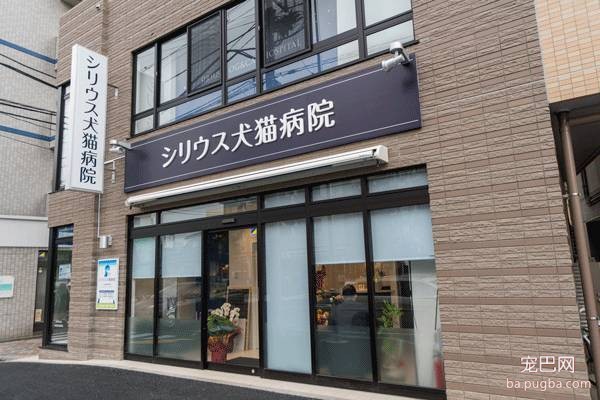 探秘日本宠物行业——6天5夜日本宠物行业考察、观赛、学习之旅-13.jpeg