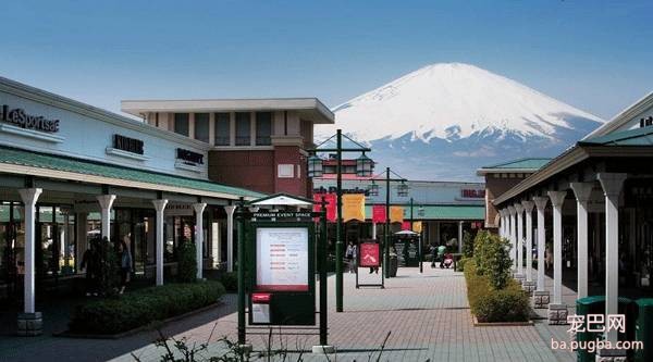探秘日本宠物行业——6天5夜日本宠物行业考察、观赛、学习之旅-14.jpeg
