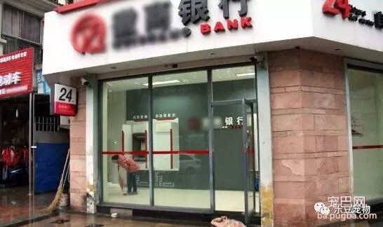 流浪狗即将生产，只能躲进银行ATM，引发众多市民前来帮助！-2.jpeg