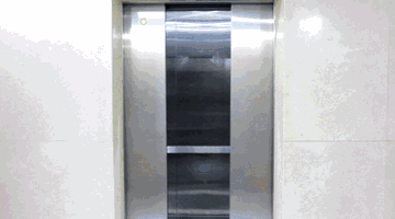 狗狗身边埋伏的隐形杀手，你都了解了吗？-1.gif