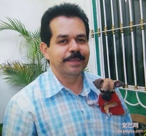 离别九个月，狗狗收到主人寄来的一件臭衣服后，做出了这个举动...-12.jpeg