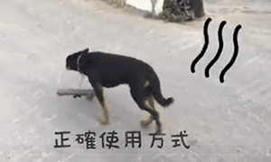 狗狗太爱追车怎么办？机智大妈设计神器阻挠！结果......-1.gif