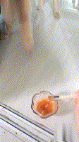 金毛拆坏了三个门框，主人干脆涂上芥末，网友：这绝招厉害！-2.gif