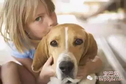 喜欢狗的人，看看你符合吗？-1.jpeg