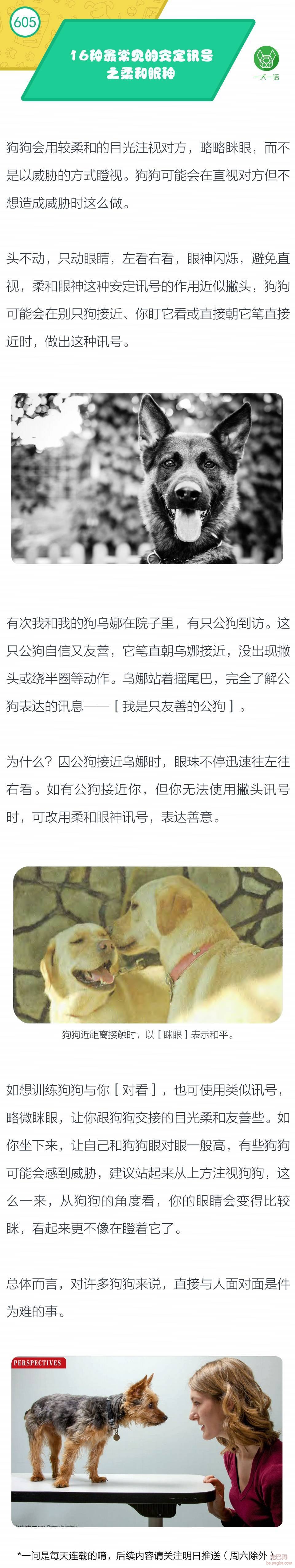 16种最常见的安定讯号之柔和眼神-1.jpeg