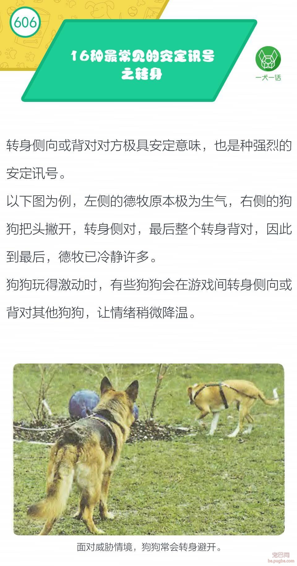 16种最常见的安定讯号之『转身』-1.jpeg