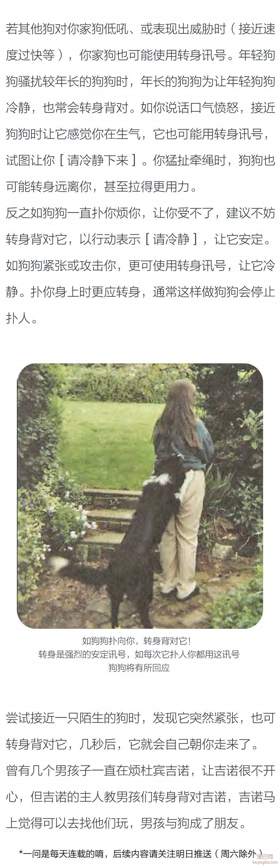 16种最常见的安定讯号之『转身』-2.jpeg