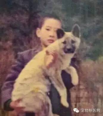 为了咱们中国的狗狗品种 必须转！希望大家不要忘记他们-8.jpeg