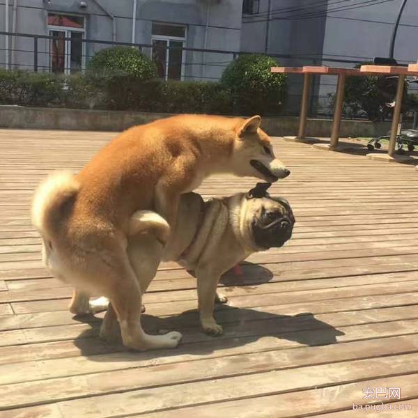 呀，这是谁家的小甜饼？-2.jpeg