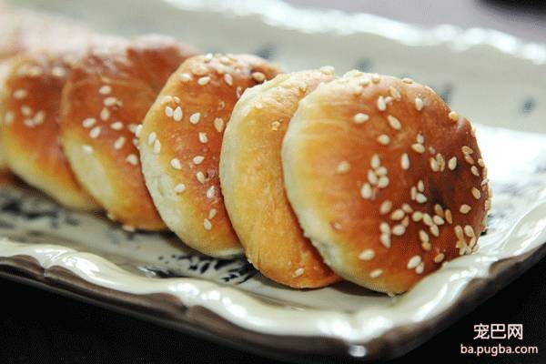 呀，这是谁家的小甜饼？-11.jpeg
