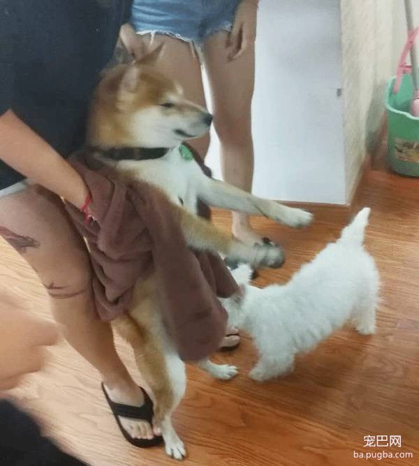 呀，这是谁家的小甜饼？-18.jpeg