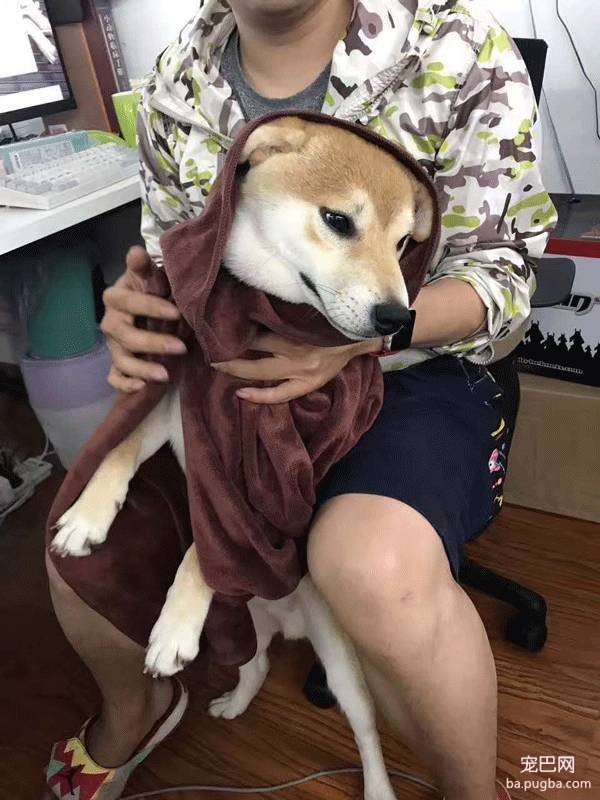 呀，这是谁家的小甜饼？-17.jpeg
