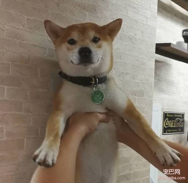 呀，这是谁家的小甜饼？-19.jpeg