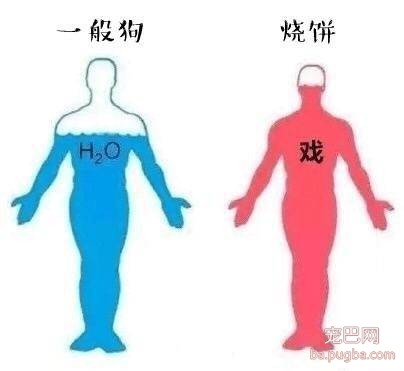呀，这是谁家的小甜饼？-23.jpeg