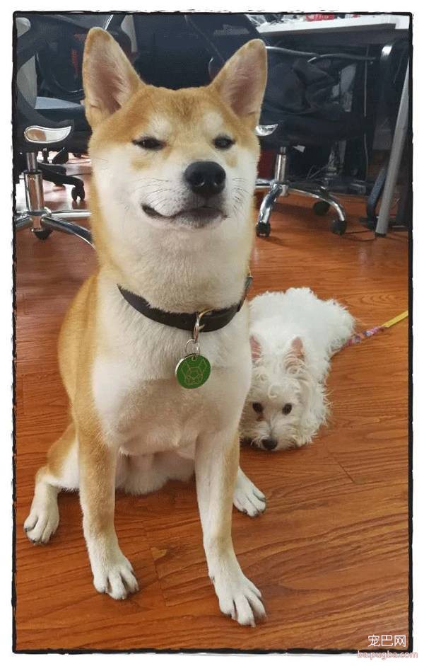 呀，这是谁家的小甜饼？-32.jpeg