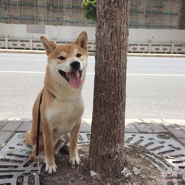 呀，这是谁家的小甜饼？-33.jpeg