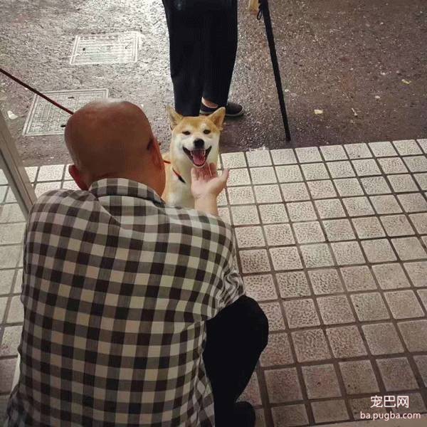 呀，这是谁家的小甜饼？-37.jpeg