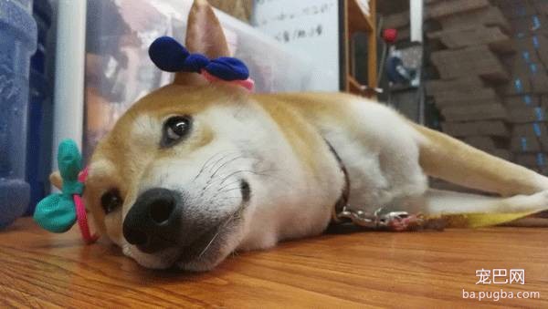 呀，这是谁家的小甜饼？-36.jpeg