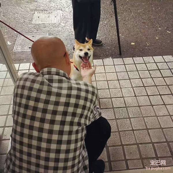 呀，这是谁家的小甜饼？-38.jpeg