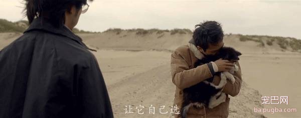 你们分手，有考虑过狗的感受吗-9.jpeg