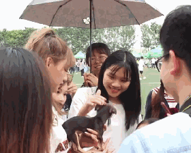 “我家狗被路人给摸秃了...”哈哈哈哈哈哈哈哈哈大写的心疼！-6.gif