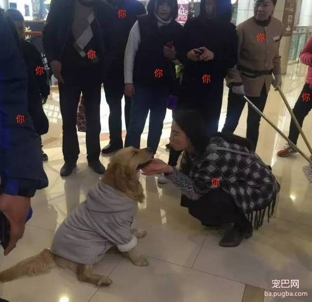 “我家狗被路人给摸秃了...”哈哈哈哈哈哈哈哈哈大写的心疼！-14.jpeg