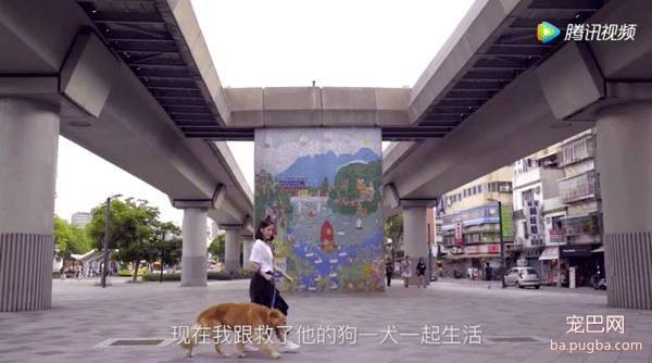 我的萌宠男友丨这集完全没小哥哥戏份，真想往编剧家寄刀片了-1.jpeg