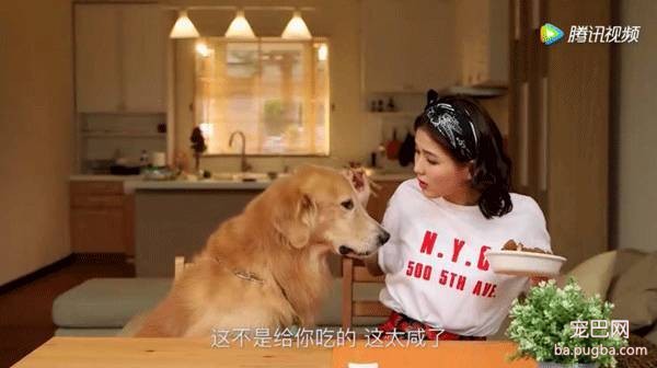 我的萌宠男友丨这集完全没小哥哥戏份，真想往编剧家寄刀片了-3.jpeg