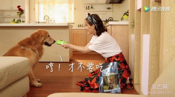 我的萌宠男友丨这集完全没小哥哥戏份，真想往编剧家寄刀片了-4.jpeg