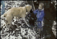 好一些心机狗狗，主人得注意了！-17.gif
