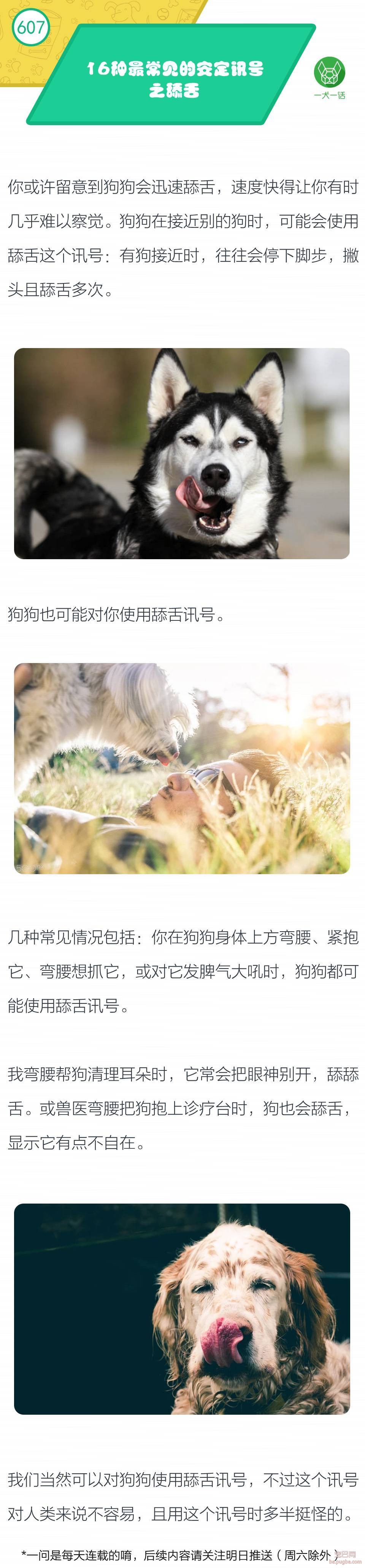 16种最常见的安定讯号之『舔舌』-1.jpeg