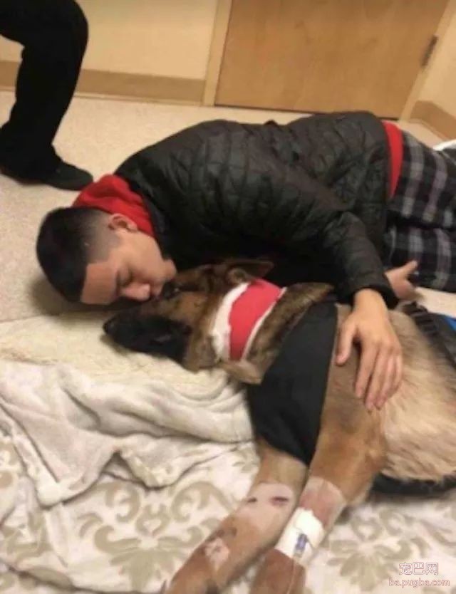 你在用心爱狗，狗狗却在用生命爱你…-4.jpeg