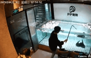 可怜狗狗在主人和店家面前挣扎死去……你们还要害死多少狗？-6.gif