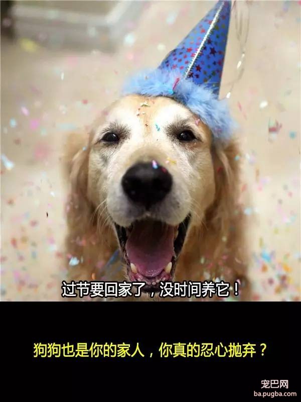 抛弃狗狗的十个理由，希望你永远不要说出口！-1.jpeg