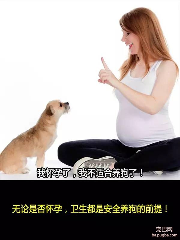 抛弃狗狗的十个理由，希望你永远不要说出口！-6.jpeg