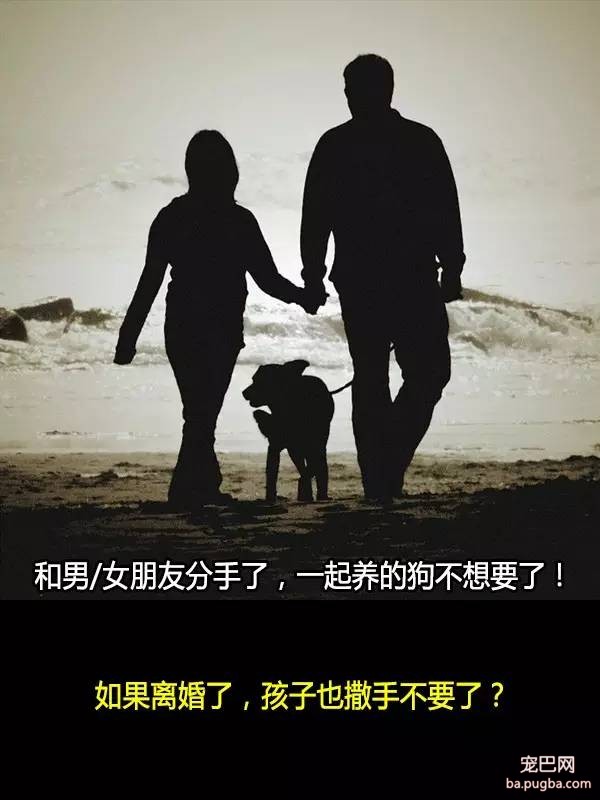 抛弃狗狗的十个理由，希望你永远不要说出口！-8.jpeg