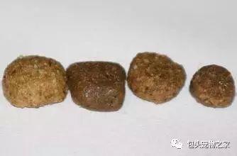 选择狗粮时一定要注意这几点！-3.jpeg