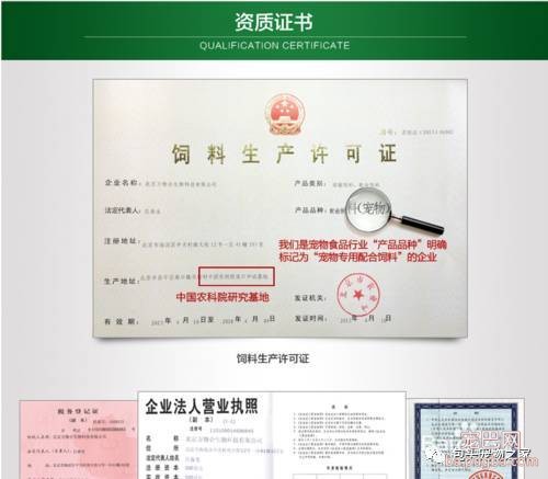 选择狗粮时一定要注意这几点！-1.jpeg