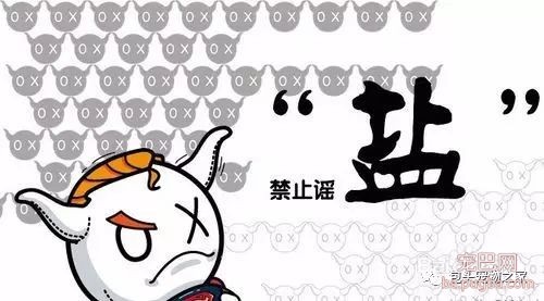 选择狗粮时一定要注意这几点！-5.jpeg