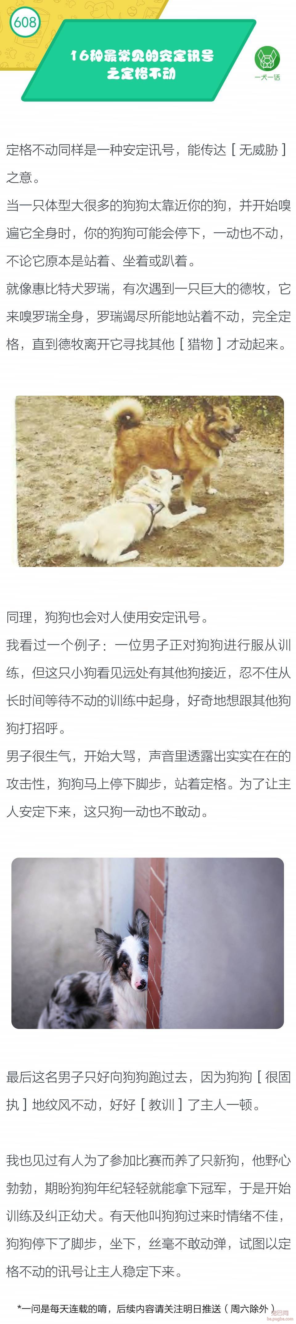 16种最常见的安定讯号之『定格不动』-1.jpeg