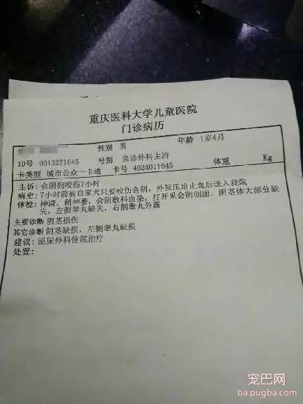 1岁男童的终身性福被家里的狗狗咬掉了…！隔着屏都觉得疼-3.jpeg