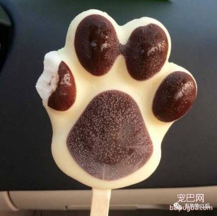 泰迪犬有哪些食物是不能吃的呢？-7.jpeg