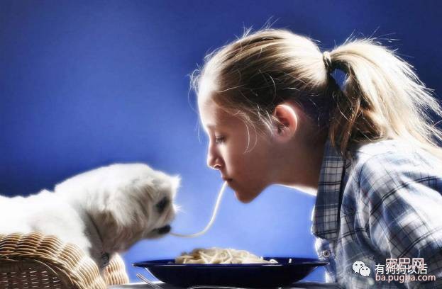 泰迪犬有哪些食物是不能吃的呢？-5.jpeg