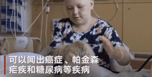说出来不怕吓着你，我家狗竟然是个“癌症医生”！-6.gif