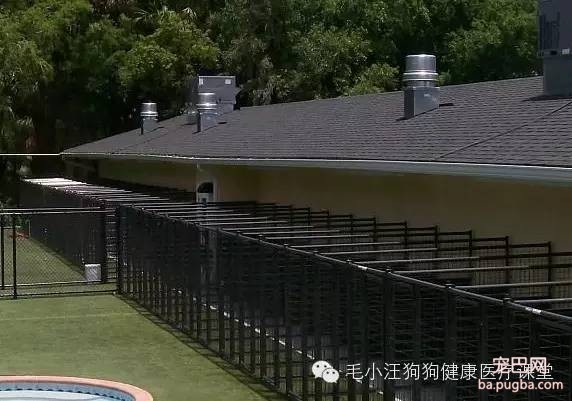 犬舍狗场参考，真漂亮-9.jpeg