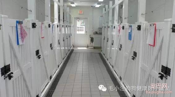 犬舍狗场参考，真漂亮-13.jpeg