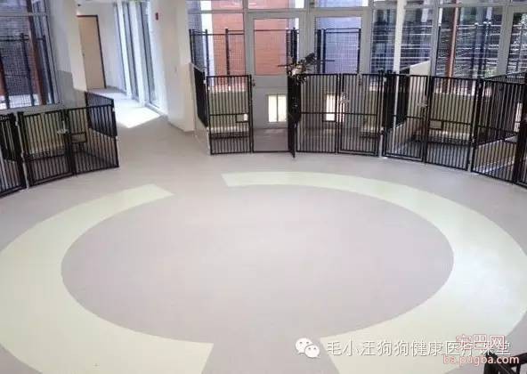 犬舍狗场参考，真漂亮-20.jpeg