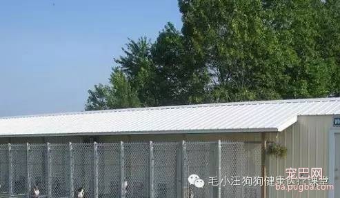 犬舍狗场参考，真漂亮-17.jpeg