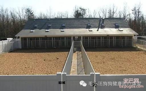 犬舍狗场参考，真漂亮-16.jpeg
