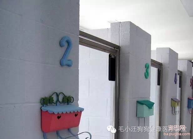 犬舍狗场参考，真漂亮-23.jpeg
